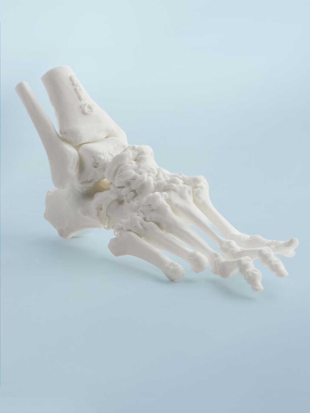 3D foot